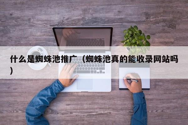 什么是蜘蛛池推广(蜘蛛池真的能收录网站吗)