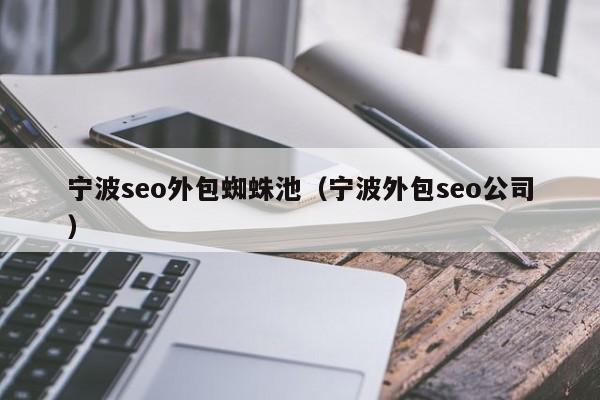 宁波seo外包蜘蛛池(宁波外包seo公司)