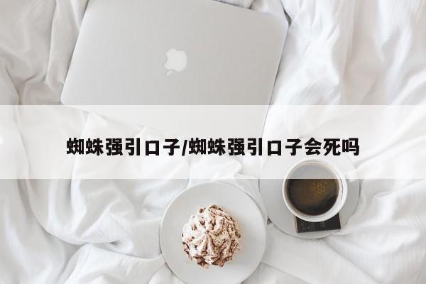 蜘蛛强引口子/蜘蛛强引口子会死吗